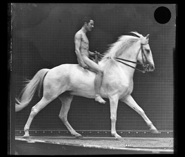 'Horse with nude rider; canter' &copy; Kingston Museum and Heritage Service, 2010